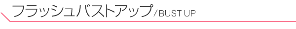 フラッシュバストアップ