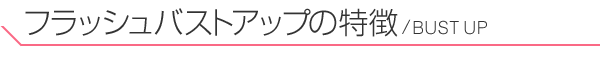 フラッシュバストアップの特徴