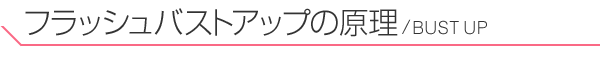 フラッシュバストアップの原理