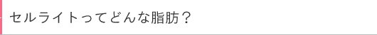 セルライトってどんな脂肪?