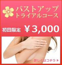 バストアップトライアルコース
