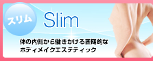 スリム 体の内側から働きかける画期的なボディメイクエステティック
