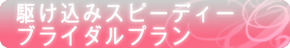 駆け込みスピーディー ブライダルプラン