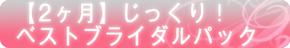 【2ヶ月】じっくり！ベストブライダルパック