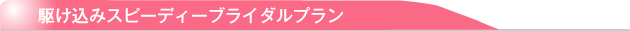 駆け込みスピーディーブライダルプラン