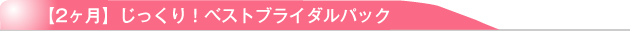 【2ヶ月】じっくり！ベストブライダルパック