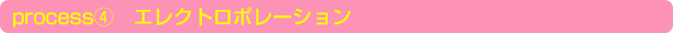 process4.　エレクトロポレーション