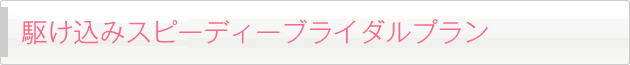 駆け込みスピーディー ブライダルプラン