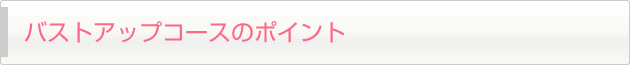 バストアップコースのポイント